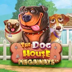 The Dog House Megaways game at Winit Casino for United Kingdom players The Dog House Megaways game at Winit Casino for United Kingdom players