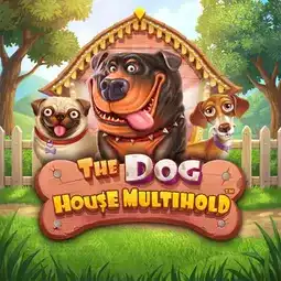The Dog House Multihold game at Winit Casino for United Kingdom players The Dog House Multihold game at Winit Casino for United Kingdom players